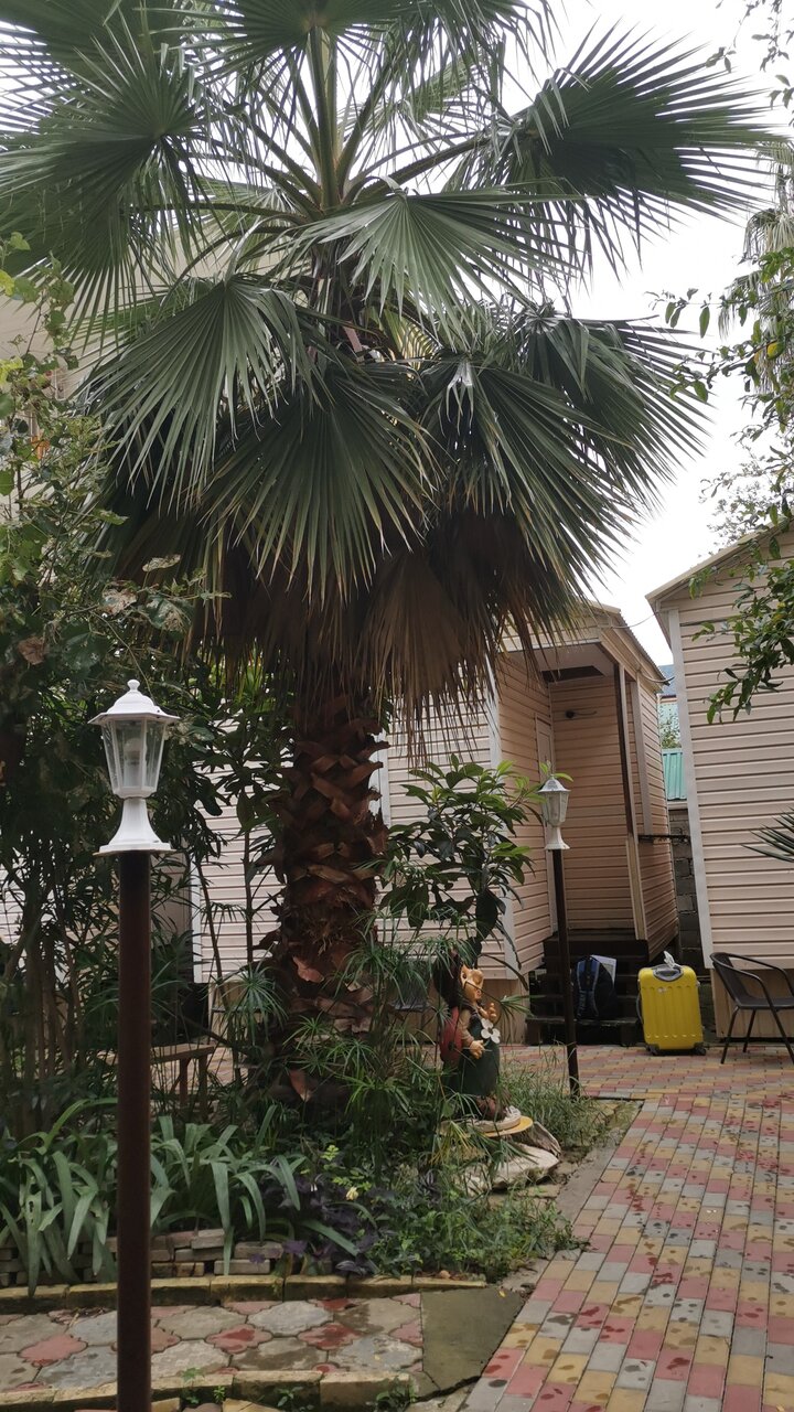 Гостевой дом Альбатрос Адлер-168