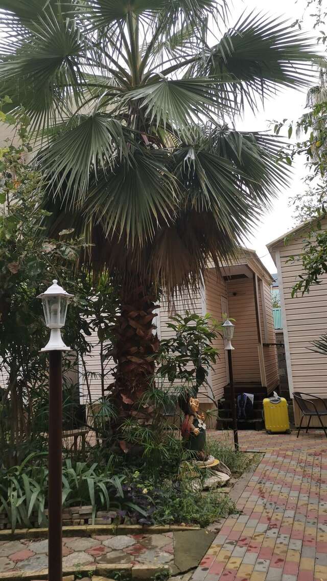 Гостевой дом Альбатрос Адлер-167